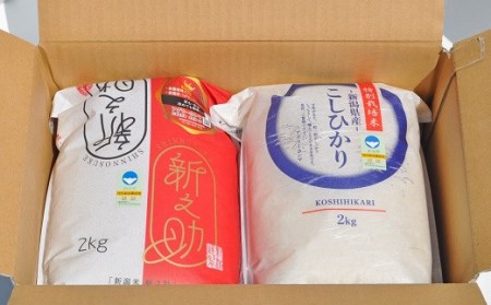 特別栽培米食べ比べ コシヒカリ・新之助 無洗米 各2kg（計 4kg）アグリーホンマのお米 令和5年産米 新潟県産[ZA062]