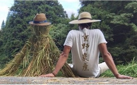 【令和7年産米】新之助 無洗米 2合ボトル（300g）×10本 （計 3kg）重ちゃんが愛情込めて作ったお米 [Y0071]