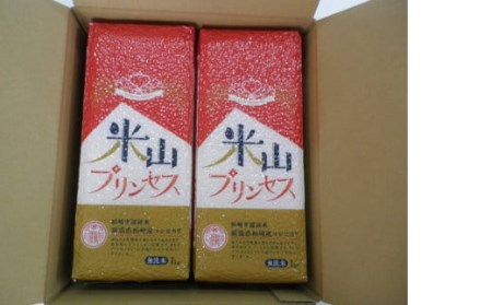 新潟産最上級コシヒカリ「米山プリンセス」真空パック 無洗米 2kg（1kg×2袋）令和7年産米 徳永農園[Y0454]