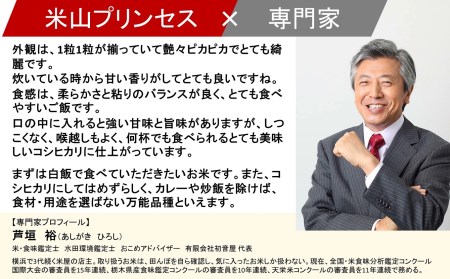 新潟産最上級コシヒカリ「米山プリンセス」真空パック 無洗米 2kg（1kg×2袋）令和7年産米 徳永農園[Y0454]