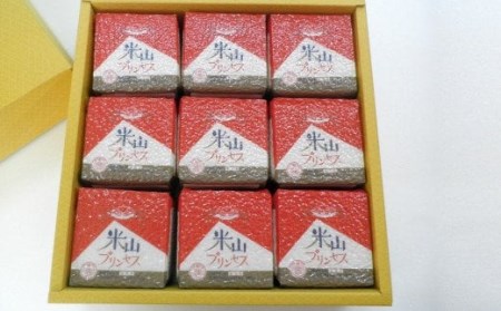 新潟産最上級コシヒカリ「米山プリンセス」真空パック 無洗米 2.7kg（300g×9袋）令和7年産米 徳永農園[Y0457]