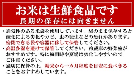 【定期便・2月～発送】コシヒカリ 白米 5kg（ペットボトル米 300g 1本付き）×隔月5回 （計 26.5kg）重ちゃんのお米[Y0250]