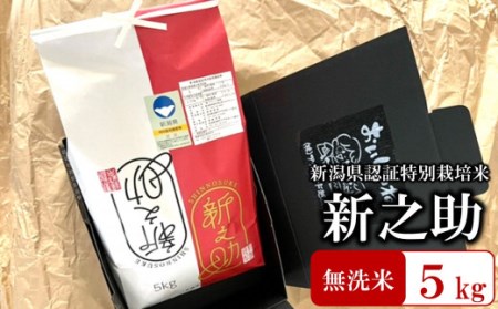 【令和6年産新米】特別栽培米 新之助 無洗米 5kg おいしいね アグリード越後のお米[ZB494]