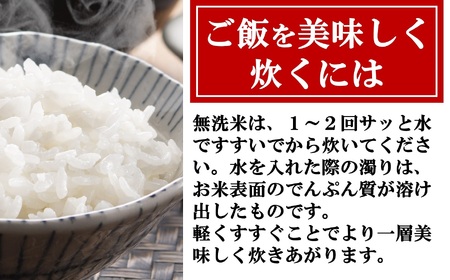 【令和6年産新米】特別栽培米 新之助 無洗米 5kg おいしいね アグリード越後のお米[ZB494]