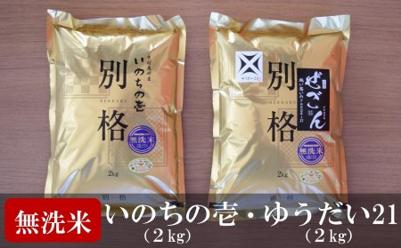 【令和5年産米】中村農研 いのちの壱・ゆうだい21 無洗米 各2kg 食べ比べセット（計 4kg）[ZF338]