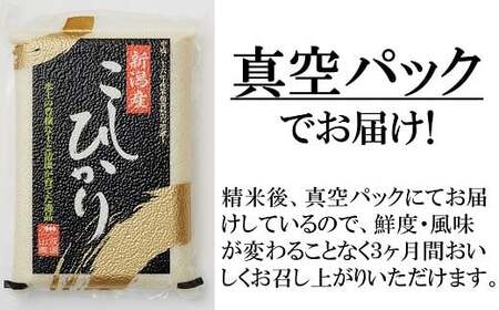 【令和6年産新米・3ヶ月定期便】真空パック 特別栽培米 コシヒカリ 無洗米 6kg（3kg×2袋）×3回（計 18kg） 山波農場のお米 新潟県産[Y0037]