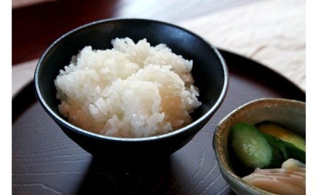 【定期便・5月～発送】コシヒカリ 無洗米 5kg（ペットボトル米 300g 1本付き）×5回 （計 26.5kg）重ちゃんが愛情込めて作ったお米[Y0354]