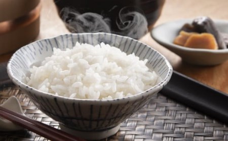 令和5年産米【定期便12回】新潟県認証特別栽培米 コシヒカリ 無洗米『豊年満作』 5kg×12回（計 60kg）[ZE965]