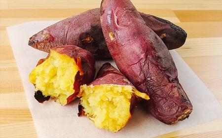 さつまいも 紅はるか 5kg 新潟県柏崎産 はまたろう【数量・期間限定】[ZB569]