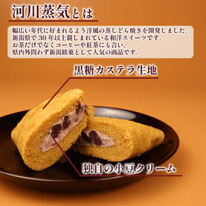 河川蒸気 小豆クリーム味 10個入 どら焼き どら焼き どら焼き どら焼き どら焼き どら焼き B22_03