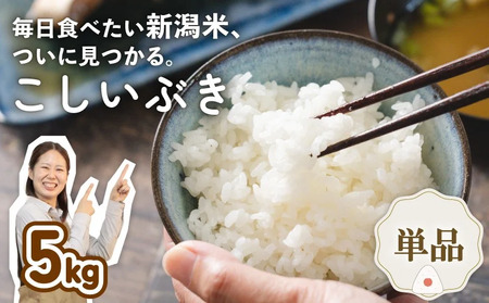 令和7年産 新潟県産こしいぶき 5kg 【 新潟県 新潟産 新潟米 新発田産 新発田 お米 米 こしいぶき とんとん市場 せいだ 5kg 数量限定 玄米 D85_04 】