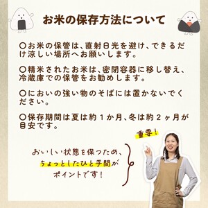 令和7年産 新潟県産こしいぶき 5kg 【 新潟県 新潟産 新潟米 新発田産 新発田 お米 米 こしいぶき とんとん市場 せいだ 5kg 数量限定 玄米 D85_04 】