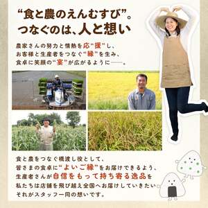 令和7年産 新潟県産こしいぶき 5kg 【 新潟県 新潟産 新潟米 新発田産 新発田 お米 米 こしいぶき とんとん市場 せいだ 5kg 数量限定 玄米 D85_04 】