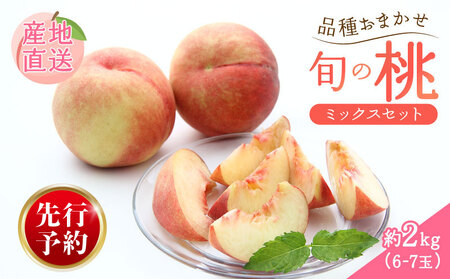 2026年発送 先行予約 桃 品種 おまかせ 厳選セット 約2kg 桃 桃 桃 桃 桃  takahashi001