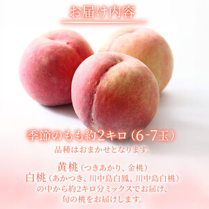 2026年発送 先行予約 桃 品種 おまかせ 厳選セット 約2kg 桃 桃 桃 桃 桃  takahashi001