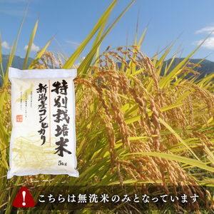 特別栽培米 こしひかり 無洗米 5kg | 無洗米 米 お米 精米 無洗米 新潟県 新発田市 toushin001