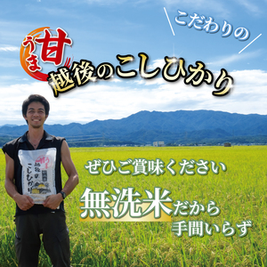 甘うま こしひかり 無洗米 5kg | 無洗米 米 お米 精米 無洗米 おいしい無洗米 新潟県 新発田市 toushin003_01