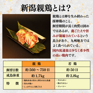 親鶏 かしわめしの素 6個  炊き込みご飯 炊き込みご飯 炊き込みご飯 炊き込みご飯 炊き込みご飯 炊き込みご飯 maruco005