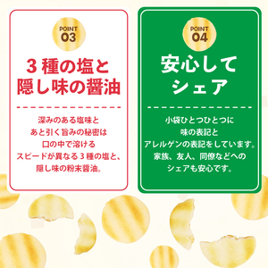 せんべい ぱりんこ 6袋 お菓子 塩  お米  新潟 せんべい  せんべい せんべい せんべい せんべい  miyuki008