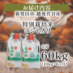 【定期便】10㎏ 6ヵ月 【数量限定】 令和7年産 コシヒカリ 玄米 精米 特別栽培  D54_03