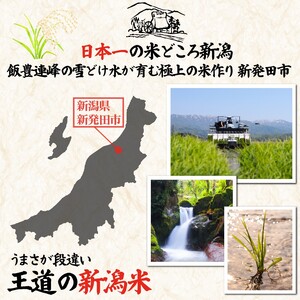 【定期便】10㎏ 6ヵ月 【数量限定】 令和7年産 コシヒカリ 玄米 精米 特別栽培  D54_03