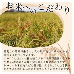 R7年産先行予約 新米 定期便 30kg 5kg×6回 特別栽培米 コシヒカリ コンテスト 入賞米 米 おこめ お米 ブランド米 ご飯 ごはん オニギリ お弁当 玄米 対応可 kome 新米 5kg 送料無料 数量限定 農家直送 産地直送 国産 川瀬農園 新潟 新発田 kawase2002