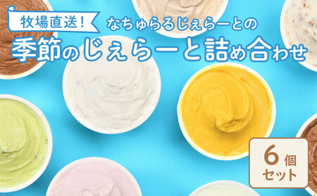 濃厚ミルクアイス 6個セット アイスクリーム 搾りたて牛乳アイス ピスタチオ ジェラート こだわりアイス スイーツ ギフト nakano001