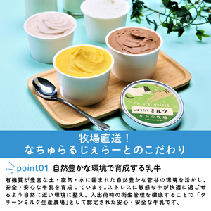 濃厚ミルクアイス 6個セット アイスクリーム 搾りたて牛乳アイス ピスタチオ ジェラート こだわりアイス スイーツ ギフト nakano001