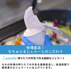 濃厚ミルクアイス 6個セット アイスクリーム 搾りたて牛乳アイス ピスタチオ ジェラート こだわりアイス スイーツ ギフト nakano001