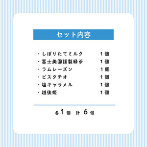 濃厚ミルクアイス 6個セット アイスクリーム 搾りたて牛乳アイス ピスタチオ ジェラート こだわりアイス スイーツ ギフト nakano001