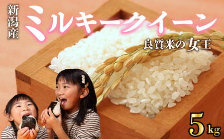 令和7年産 新潟 ミルキークイーン 5kg 【ミルキークイーン】 toushin015_02