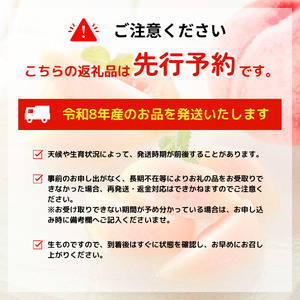 2026年発送 先行予約 果物 定期便 全3回 シャインマスカット 桃 ルレクチェ フルーツ 新潟 新発田 髙橋農園 takahashi004