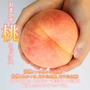 2026年発送 先行予約 果物 定期便 全3回 シャインマスカット 桃 ルレクチェ フルーツ 新潟 新発田 髙橋農園 takahashi004