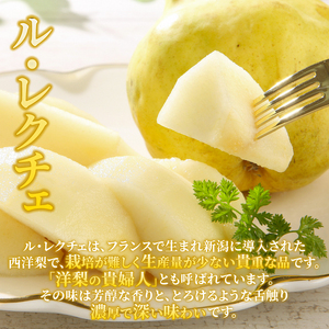 2026年発送 先行予約 果物 定期便 全3回 シャインマスカット 桃 ルレクチェ フルーツ 新潟 新発田 髙橋農園 takahashi004