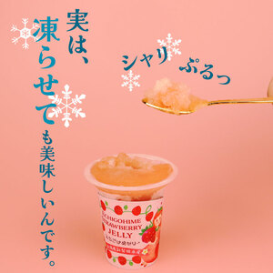 いちご えちごひめ ゼリー 8個 越後姫 いちご いちご いちご  いちご J12_01