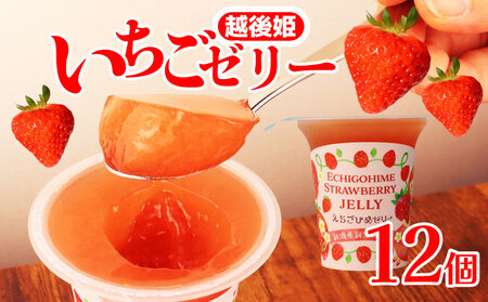 いちご えちごひめ ゼリー 12個 越後姫 いちご いちご いちご  いちご imagawaya005