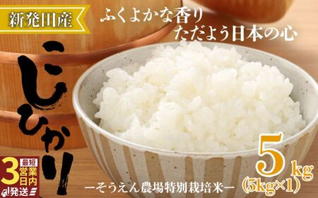 令和7年産 新潟県産 コシヒカリ 5kg そうえん米 特別栽培米 お米 米 kome 白米 ご飯 こめ ごはん ライス ふるさと納税米 コシヒカリ お弁当 玄米 そうえん米 数量限定 とんとん市場 せいだ 新潟 新発田 D81_03