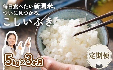 【定期便】 令和7年産 新潟県産こしいぶき 5㎏×3か月 【 新潟県 新潟産 新潟米 新発田産 新発田 お米 米 こしいぶき とんとん市場 せいだ 5kg 15kg 3か月 定期便 数量限定 玄米 D58_04 】