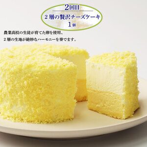 スイーツ 定期便 全3回 お菓子 デザート スイーツ スイーツ スイーツ スイーツ スイーツ sinyanagi003_01