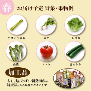 【4月開始】 野菜定期便 年4回 8～12種類 数量限定 野菜定期便 詰め合わせ 旬 野菜BOX 詰め合わせ 野菜定期便 野菜定期便 せいだ seida010_01