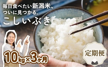 【定期便】 令和7年産 新潟産こしいぶき 10㎏×3か月 【 新潟県 新潟産 新潟米 新発田産 新発田 お米 米 こしいぶき とんとん市場 せいだ 5kg 10kg 30kg 3か月 定期便 数量限定 玄米 D59_04 】