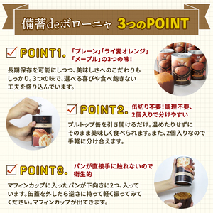 非常食 美味しいパンの缶詰 備蓄deボローニャ 6缶セット 非常食