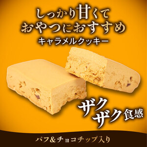 プロテインバー 36本 キャラメルクッキー 4箱 ブルボン プロテインバー プロテインバープロテインバー プロテインバー bourbon010a