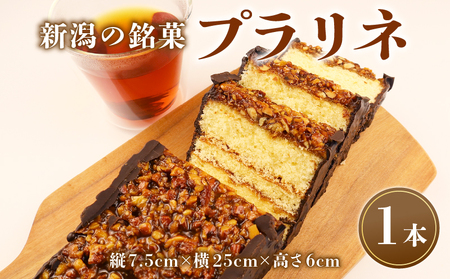 チョコレートケーキ プラリネ 1本 チョコレートケーキ チョコレートケーキ チョコレートケーキ チョコレートケーキ yamanobe010_01