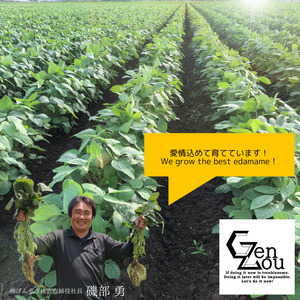 先行予約 えちご茶豆 2kg 枝豆 枝豆 枝豆 枝豆 枝豆 枝豆 枝豆 genzou002