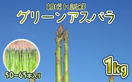 【先行予約 令和8年産】  アスパラ 新鮮 朝採り 1kg アスパラガス 甘い 野菜 新潟県 新発田産 hoshino001