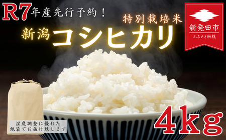 【令和7年先行予約】特別栽培米コシヒカリ 4kg ｜ 先行予約 令和7年産 特栽米 コシヒカリ 精米 白米 ご飯 おにぎり 弁当 減農薬 新潟県産コシヒカリ 新発田産 新潟コシヒカリ 米 お米 こめ アグリフルキャス湖南 新潟県 新発田市 afk001