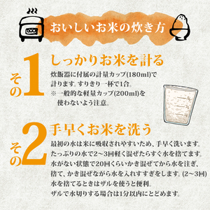 【令和7年先行予約】特別栽培米コシヒカリ 4kg ｜ 先行予約 令和7年産 特栽米 コシヒカリ 精米 白米 ご飯 おにぎり 弁当 減農薬 新潟県産コシヒカリ 新発田産 新潟コシヒカリ 米 お米 こめ アグリフルキャス湖南 新潟県 新発田市 afk001