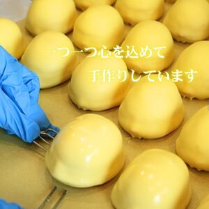 レモン美人 3個入り 檸檬 ケーキ お菓子 焼菓子 スイーツ レモン レモン レモン レモン レモン yukido005