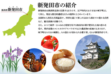 地ビール 月岡ブルワリー 月の果実 IPA 350ml 6本 クラフトビール 地ビール 地ビール 地ビール shinbo013
